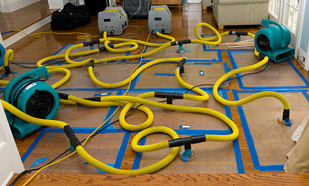 Professional Water Extraction technician working in Lisbon, IA